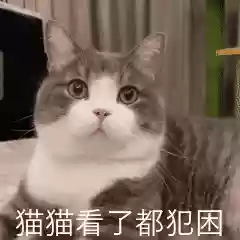魔剑人偶阵容搭配图片大全(最新版伏魔人偶攻略大全)插图16