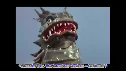 闪光初代阵容怎么搭配(闪烁之光最强阵容)