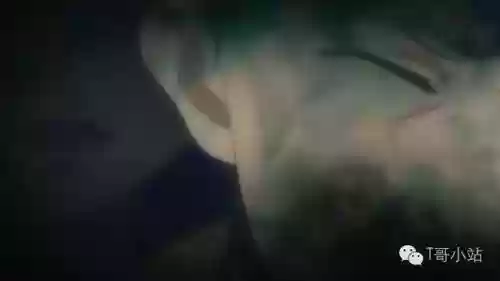 从零剑鬼阵容搭配(零命魈平民配队)插图15