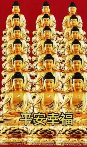 荣耀之光搭配阵容推荐图(荣耀舰队阵容搭配攻略)插图24