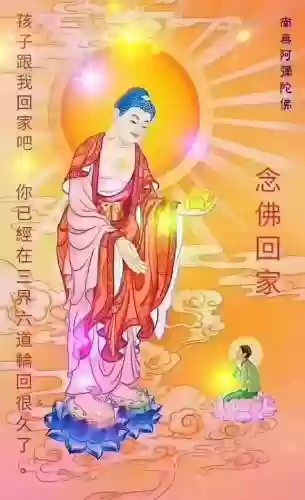 荣耀之光搭配阵容推荐图(荣耀舰队阵容搭配攻略)插图69