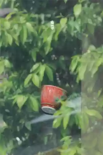 赤焰风华怎么搭配阵容(盛世芳华阵容最强搭配)插图