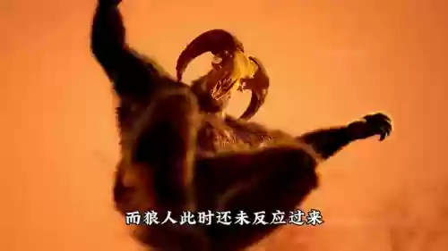 狼人单挑石头怪阵容搭配(石头人克星)插图1
