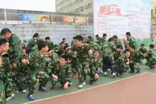 达尔文穿越机如何搭配阵容(机器人世界冒险最强阵容)