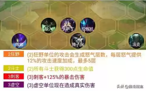变形斗士搭配阵容推荐图(合金机兵平民最强阵容搭配)插图