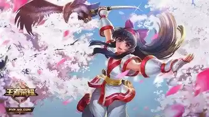 刺客怎么看阵容搭配(王者哪个刺客容易上手)插图1