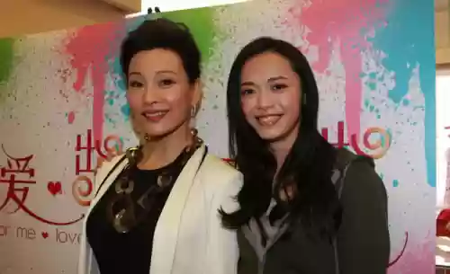 白老板阵容搭配图片大全(董白最强阵容搭配)插图3