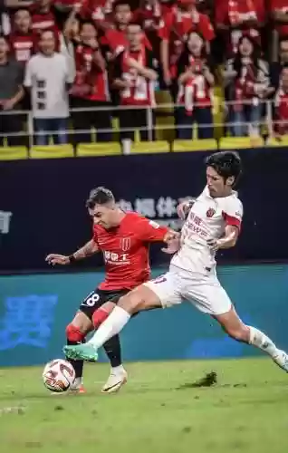 跨境电商集结阵容的原因(个人如何做跨境电商)插图3