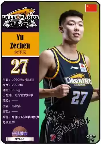 历年总决赛辽宁队阵容(辽宁队拿过几次冠军)插图12