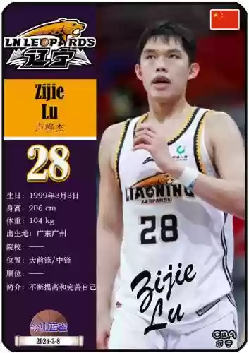 历年总决赛辽宁队阵容(辽宁队拿过几次冠军)插图9
