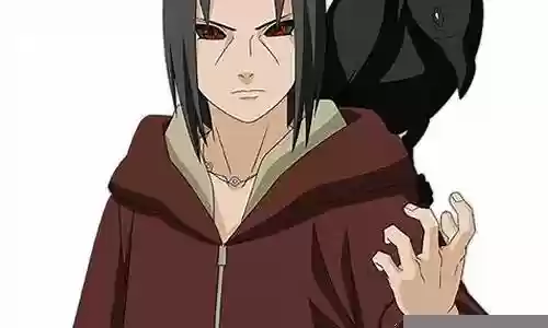 秽土转生鼬的阵容怎么搭配