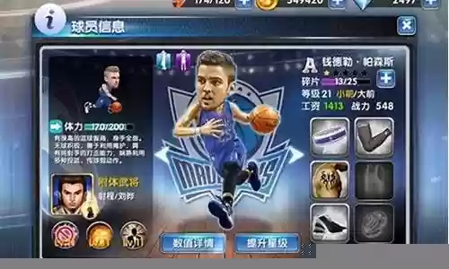 韦恩球队阵容搭配