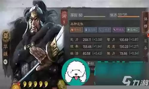 华雄后期阵容搭配
