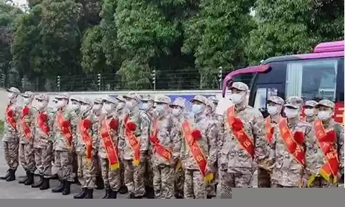 保家卫国阵容搭配插图