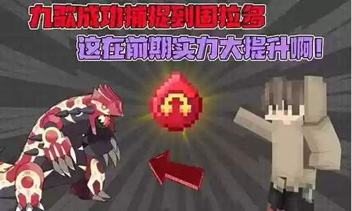 神奇宝贝剑盾最新阵容搭配