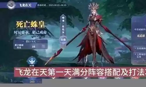 飞龙如何搭配阵容