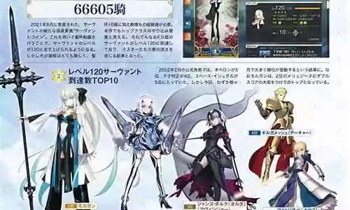 fgo海叔阵容搭配插图