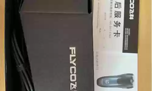 飞科搭配什么阵容