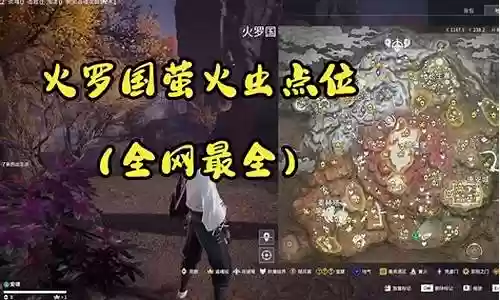 火罗国阵容搭配