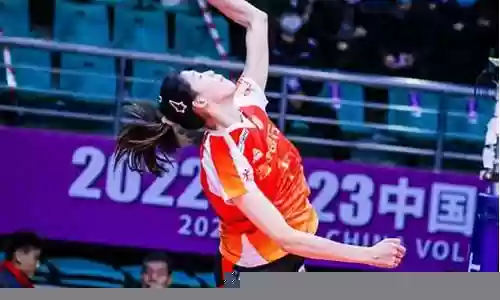 李盈莹阵容搭配