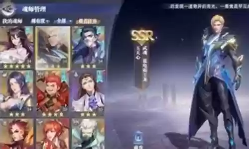 新手玉天心阵容搭配