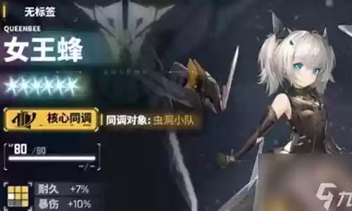 女王蜂阵容搭配