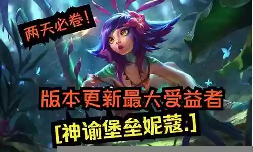 奶妈妮蔻阵容搭配