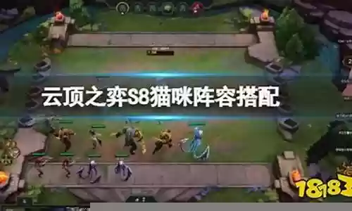 猫咪暴击阵容搭配