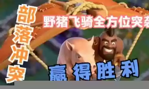 野猪飞骑阵容搭配