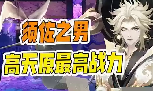 御龙阵容搭配