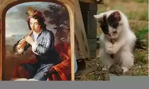 猫咪pk阵容搭配攻略