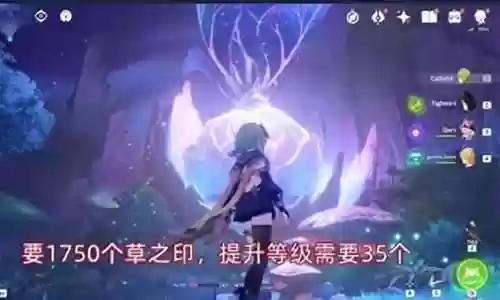 探索须弥阵容搭配图