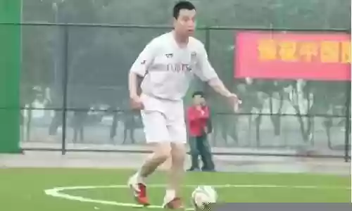 围棋阵容搭配图表