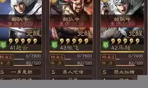 大皇帝 赵云阵容搭配