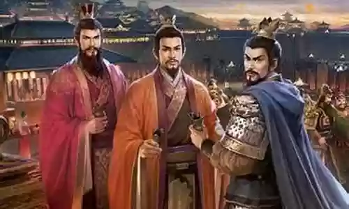 白毛搭配什么阵容