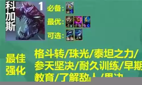 狂暴射手阵容搭配