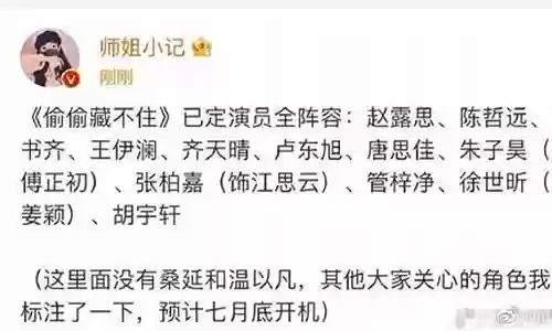偷偷传演员阵容搭配