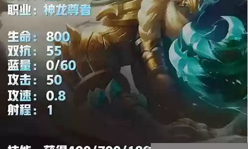 神龙尊者阵容搭配图蜘蛛