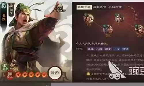 三战姜维阵容搭配