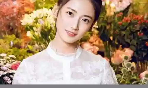 王者荣耀沙场女将阵容