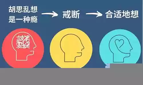 冥想2合适什么阵容