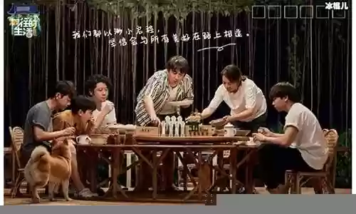 向往4 嘉宾阵容排名