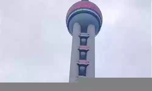 公园里的最强阵容插图