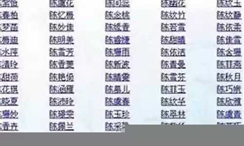 比较欢乐的阵容名字