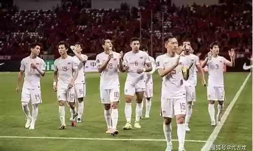 中国1 2叙利亚阵容
