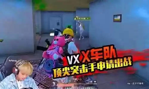 和平精英后排阵容最新
