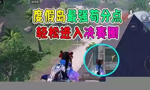 度假岛最强搭配阵容