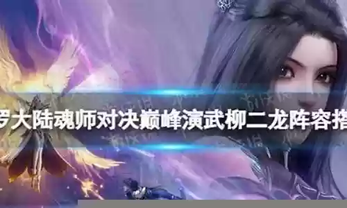 巅峰柳二龙阵容搭配