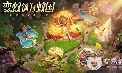 小小蚁国大神最强阵容搭配