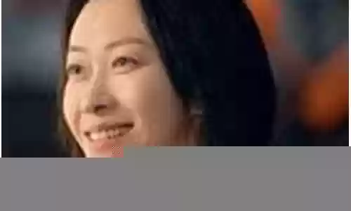 龙城 演员阵容介绍插图